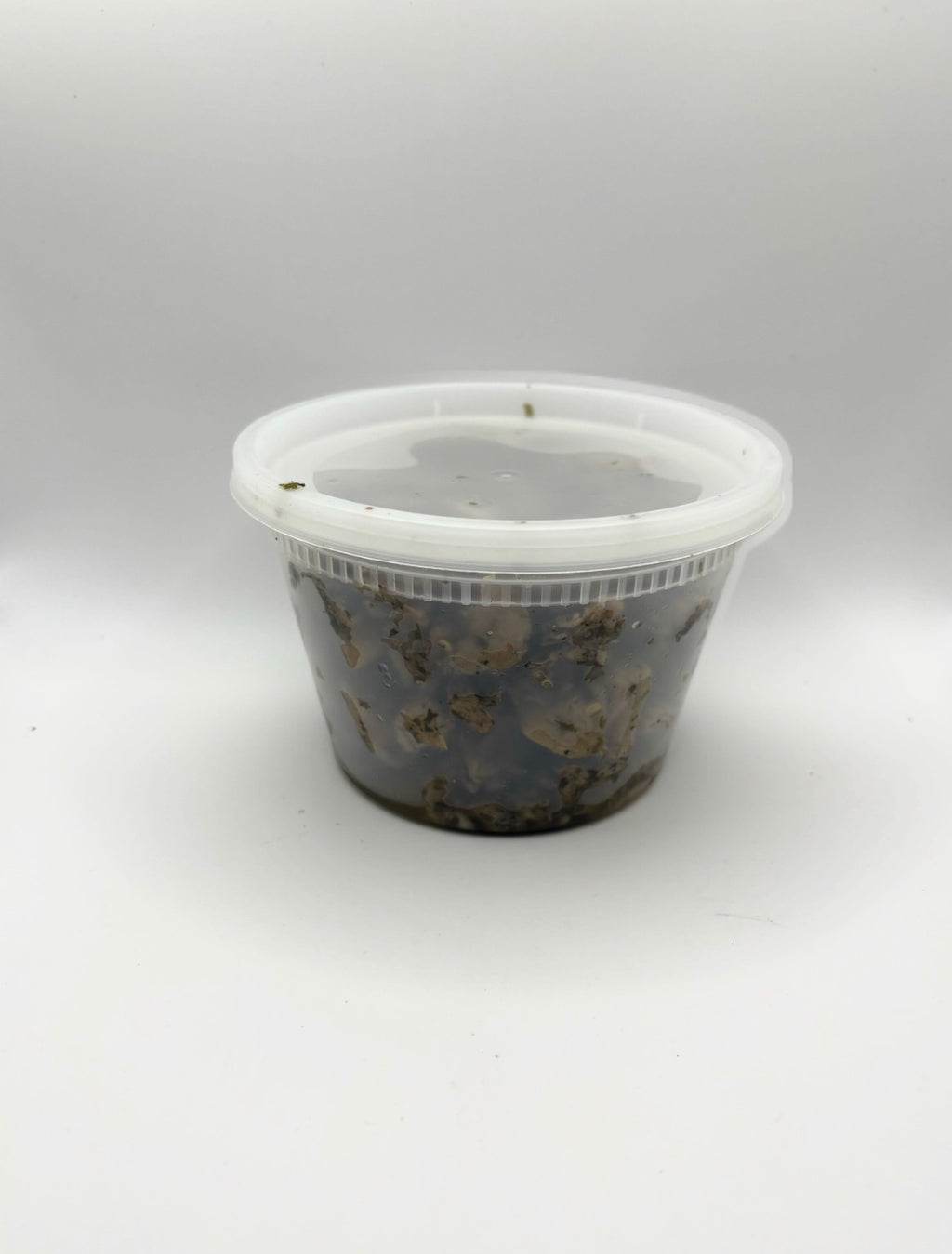 Andui Caribbean Chopped Pork Entrée, 16 oz